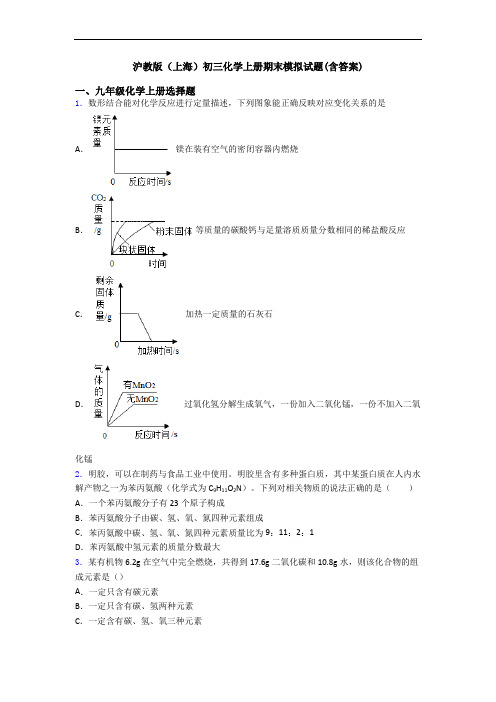 沪教版(上海)初三化学初三化学上册期末模拟试题(含答案)