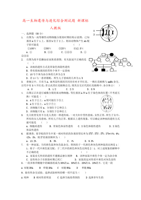 高一生物遗传与进化综合测试题 新课标 人教版