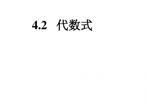 4.2_代数式