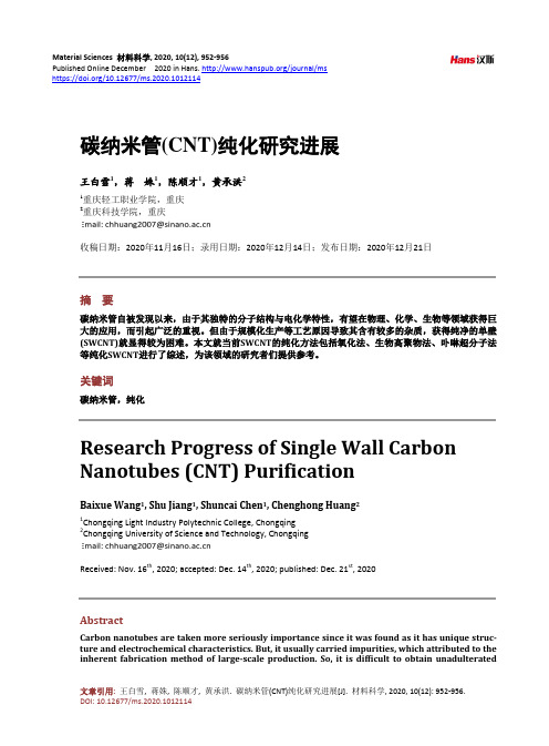 碳纳米管(CNT)纯化研究进展