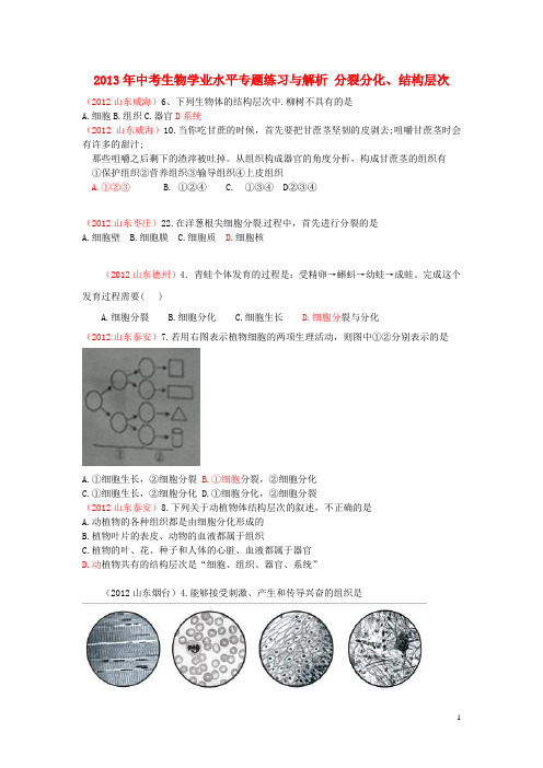 2013年中考生物学业水平专题练习与解析 分裂分化、结构层次