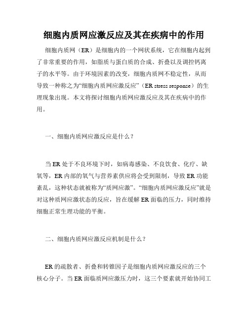 细胞内质网应激反应及其在疾病中的作用