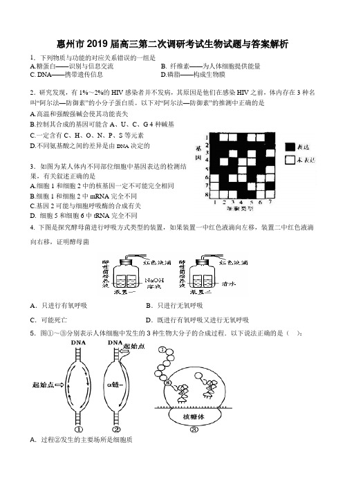 广东省惠州市2019届高三第二次调研考试 理综