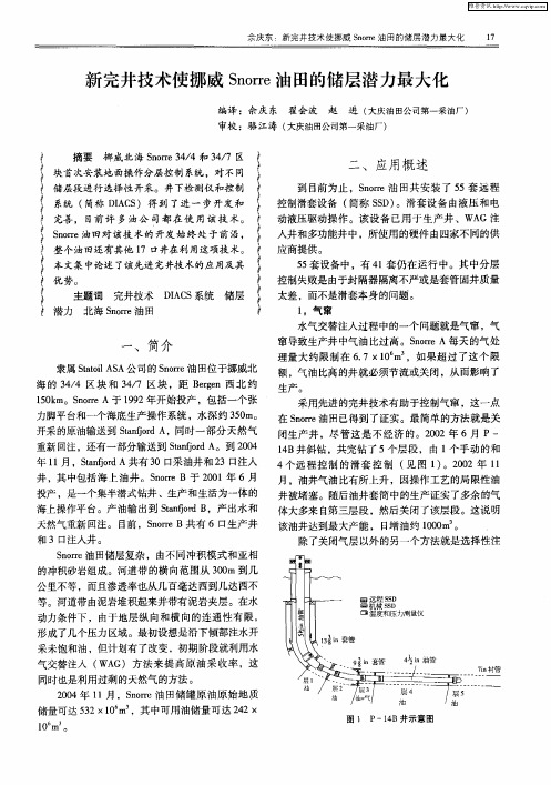 新完井技术使挪威Snorre油田的储层潜力最大化