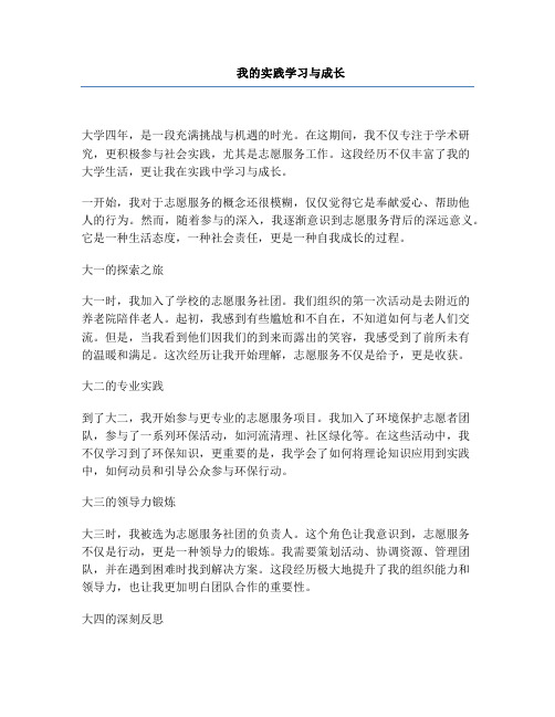 我的实践学习与成长