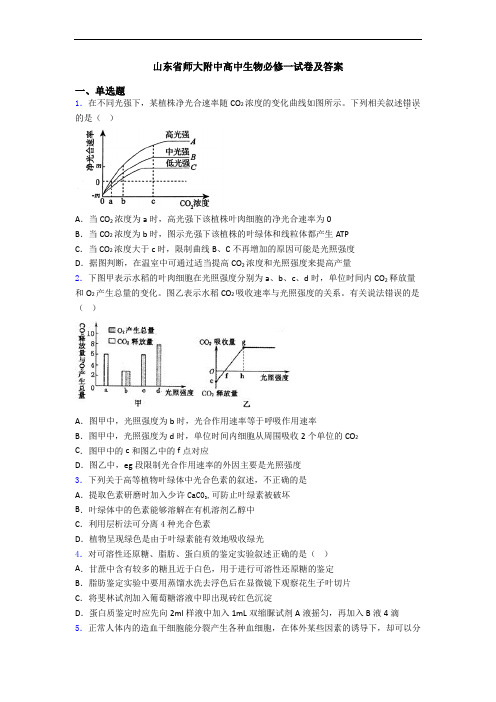 山东省师大附中高中生物必修一试卷及答案