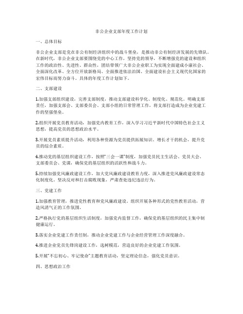 非公企业支部年度工作计划