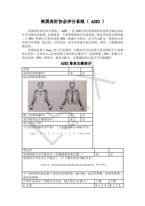 美国肩肘协会评分系统(ASES)