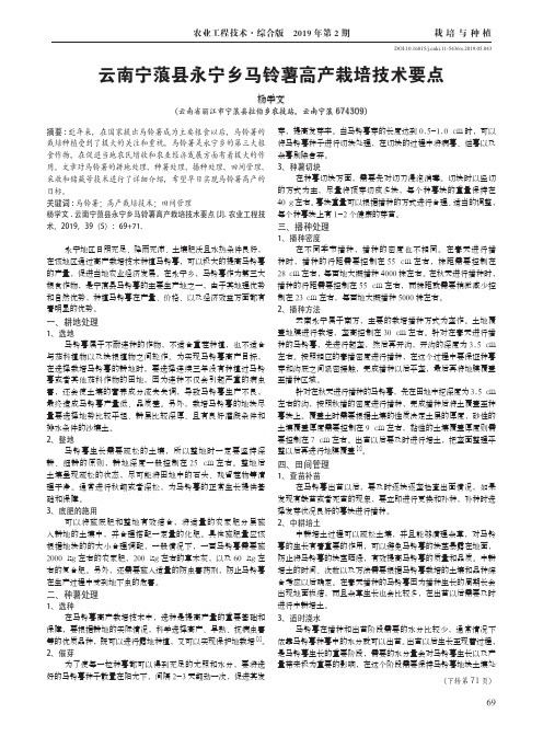 云南宁蒗县永宁乡马铃薯高产栽培技术要点