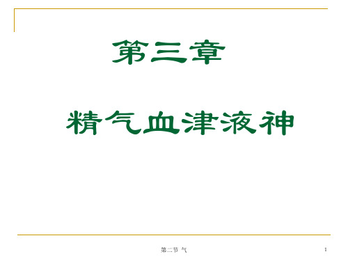 中基精气学说 PPT课件.ppt