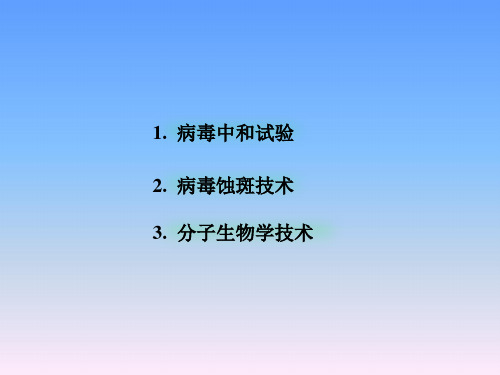 病毒中和试验-病毒蚀斑技术-分子生物学技术