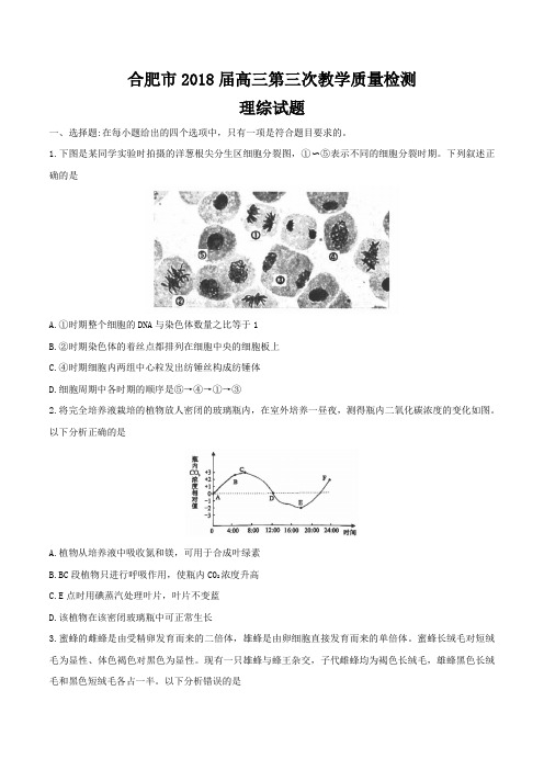 安徽省合肥市2018年高三三模考试理科综合试题及答案