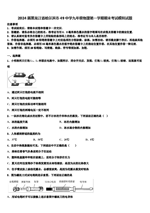 2024届黑龙江省哈尔滨市49中学九年级物理第一学期期末考试模拟试题含解析