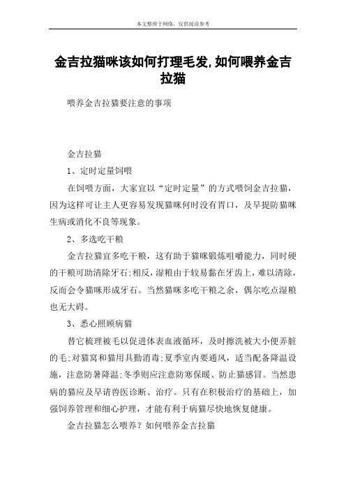 金吉拉猫咪该如何打理毛发,如何喂养金吉拉猫