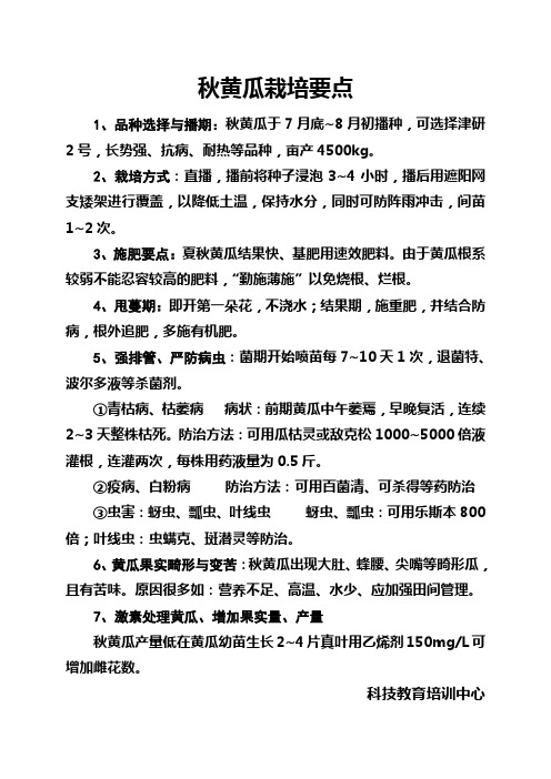 秋黄瓜栽培要点