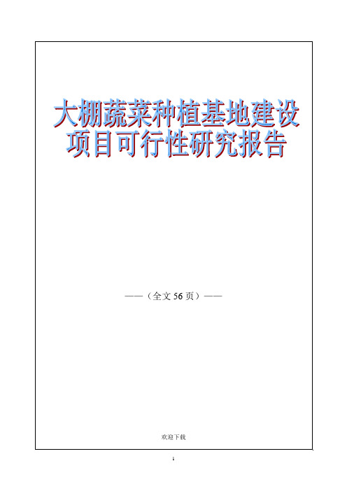 大棚蔬菜种植基地建设项目可行性研究报告56p