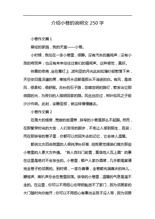 介绍小巷的说明文250字