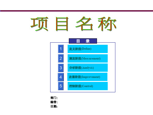 六西格玛6sigma模板参考