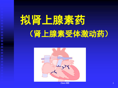 拟肾上腺素药PPT精选课件