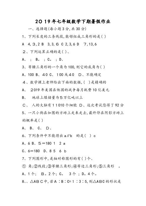 七年级数学下期暑假作业