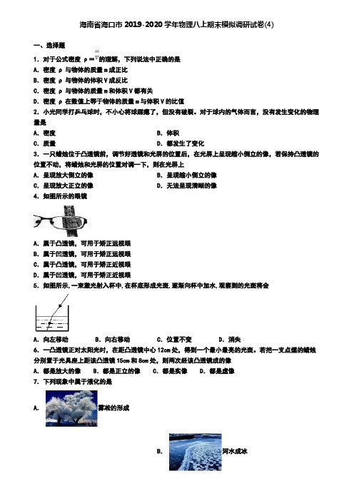 海南省海口市2019-2020学年物理八上期末模拟调研试卷(4)