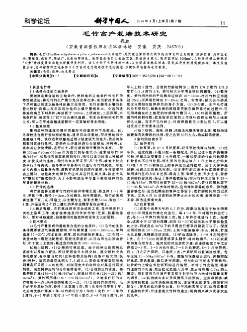 毛竹高产栽培技术研究