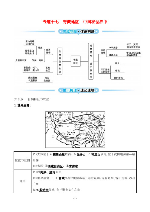 2025年人教版中考地理总复习专题十七青藏地区、中国在世界中