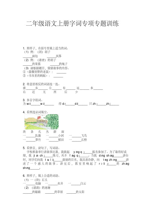 二年级语文上册字词专项专题训练