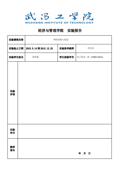 网络营销与策划