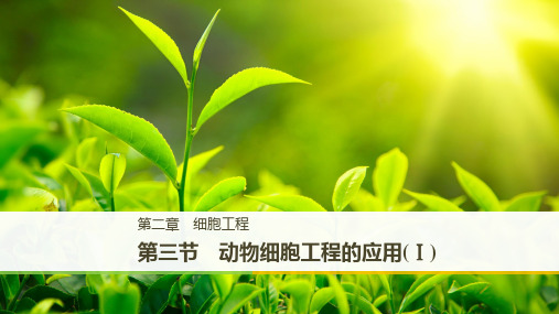 高二苏教版生物选修三课件：2.3.1 动物细胞工程的应用(Ⅰ)