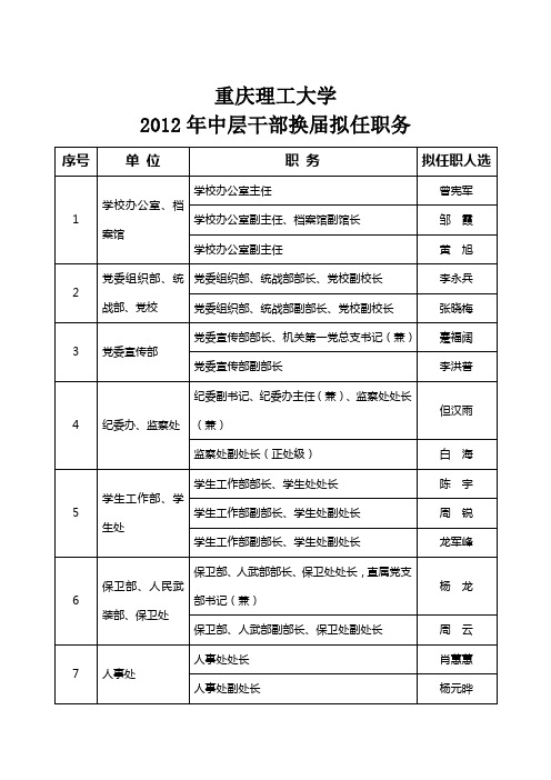 (重庆理工大学)2012新提任干部情况简介 (2)