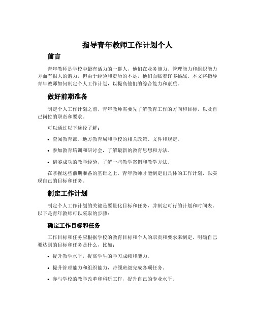 指导青年教师工作计划个人