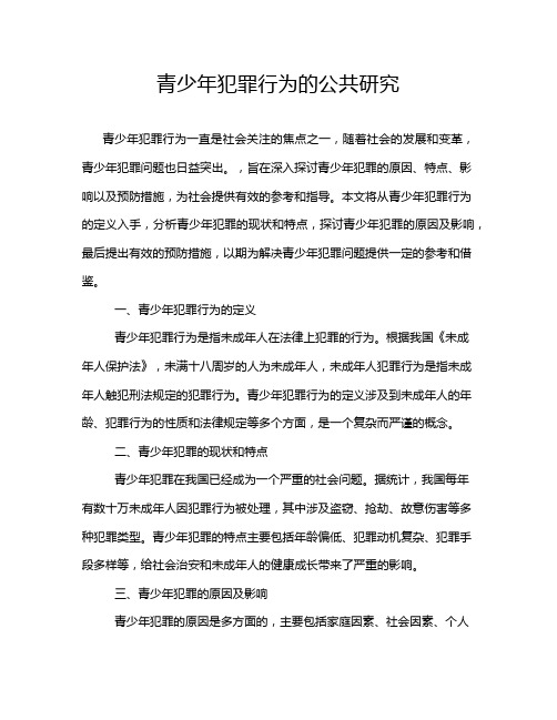 青少年犯罪行为的公共研究