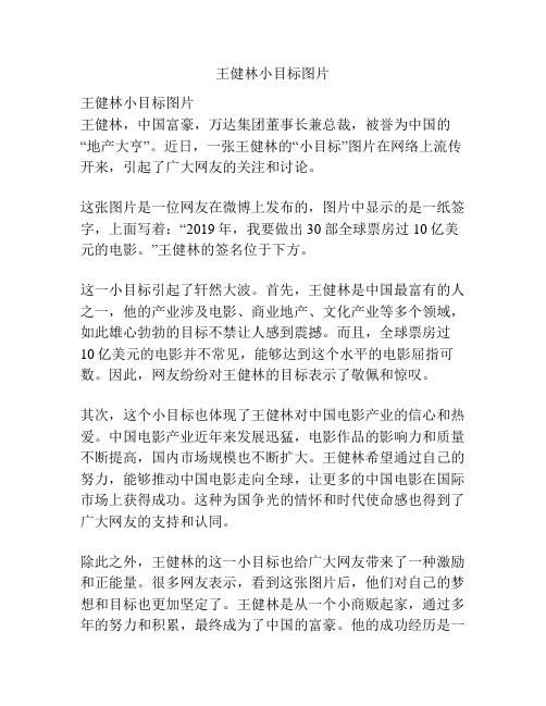 王健林小目标图片