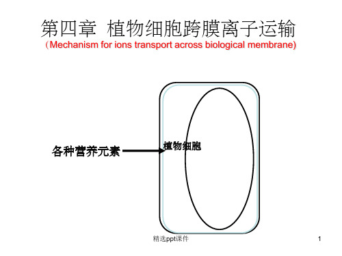 【学习课件】第四章植物细胞跨膜离子运输