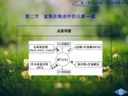 高考化学第一轮考向分析10《富集在海水中的元素—氯》复习课件 人教版