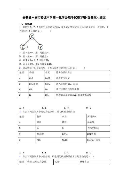 安徽省六安市舒城中学高一化学分班考试练习题(含答案)_图文