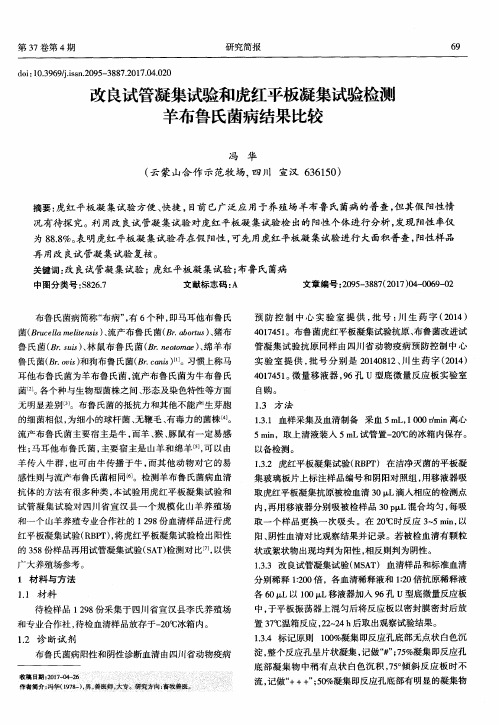 改良试管凝集试验和虎红平板凝集试验检测羊布鲁氏菌病结果比较