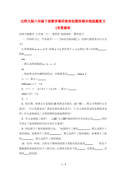 北师大版八年级下册数学第四章相似图形期末基础题复习(含答案和