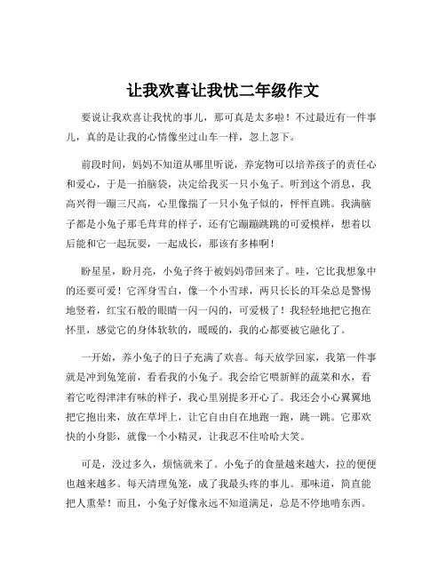 让我欢喜让我忧二年级作文