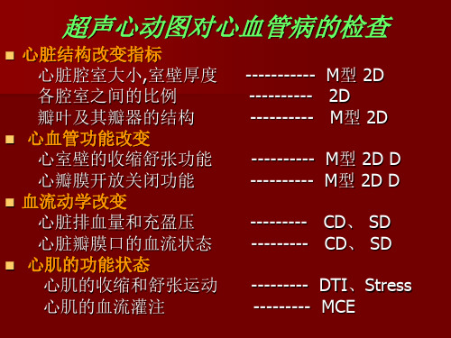 心内科医生如何理解超声心动图报告-文档资料