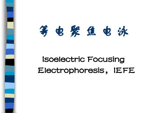等电聚焦电泳