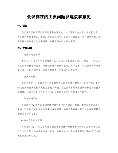 会议存在的主要问题及建议和意见