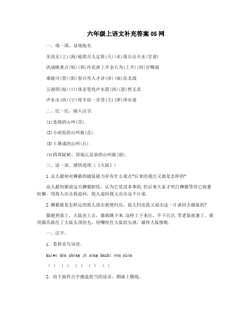 六年级上语文补充答案05网