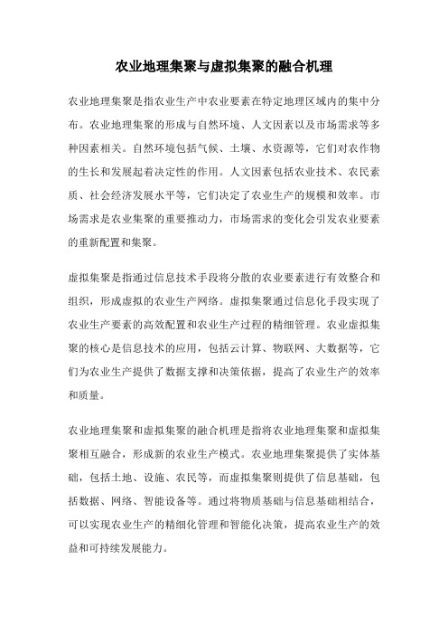 农业地理集聚与虚拟集聚的融合机理