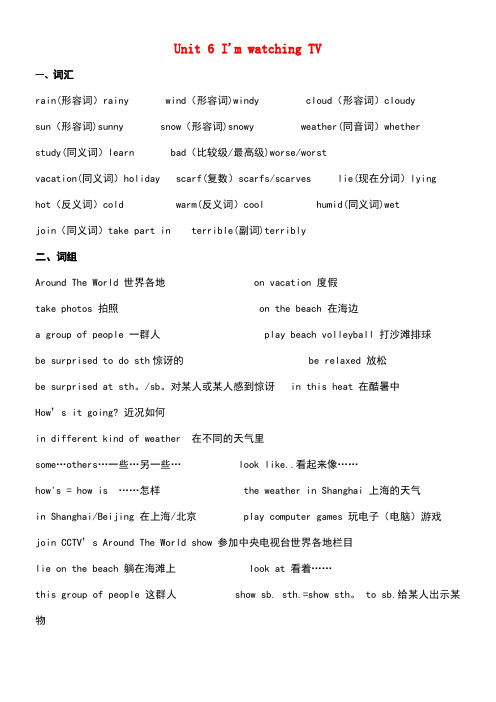 七年级英语下册Unit6I’mwatchingTV单元总结素材人教新目标版(new)