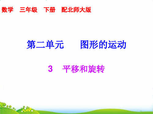 三年级下数学习题-第二单元3平移和旋转 北师大版(7张)