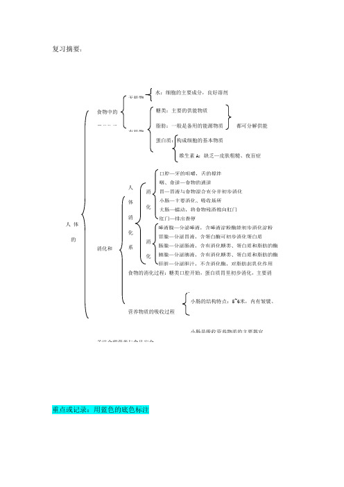 初一生物下册---人体的营养复习+习题