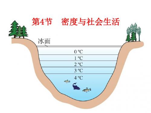 2019-学年人教版八年级 6.4《密度与社会生活》(共20张PPT)教育精品.ppt