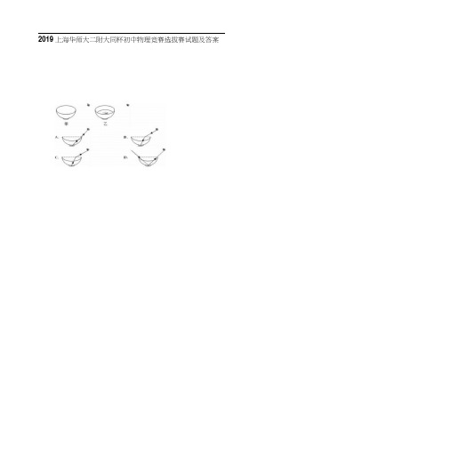 2019上海华师大二附大同杯初中物理竞赛选拔赛试题及答案